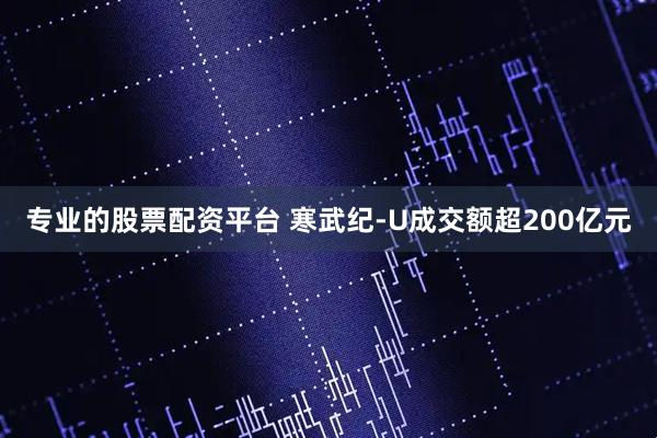 专业的股票配资平台 寒武纪-U成交额超200亿元
